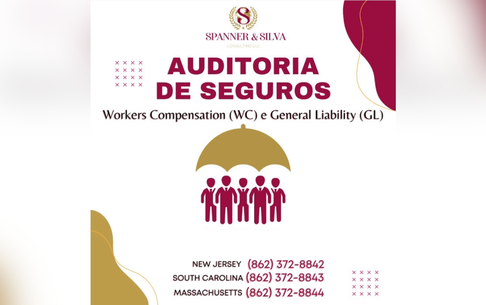 Auditoria de seguros