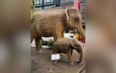 (Coluna Around NYC por Marisa Abel) Great Elephant Migration: Arte e Conscientização em NYC com Elefantes Gigantes no Meatpacking District