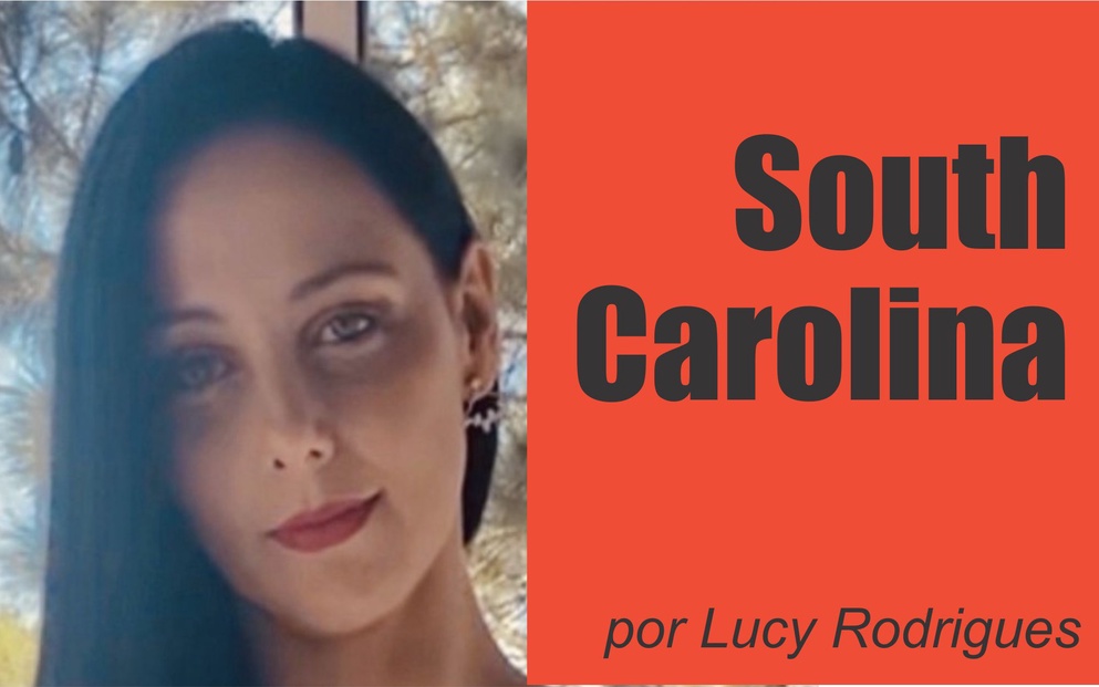 Coluna South Carolina por Lucy Rodrigues